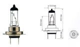 Halogen Bulb H7 Clear 24V 70W