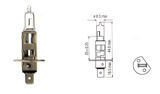 Halogen Bulb H1 Clear 12V 55W